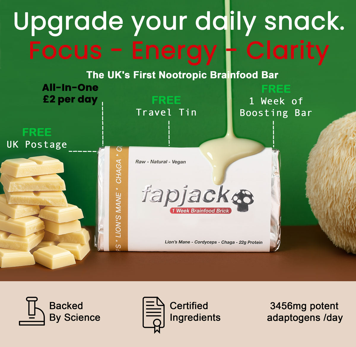 f•jacks Brainfood Bar – vegan nootropic bar with Lion's Mane mushroom, Cordyceps, Chaga and adaptogens